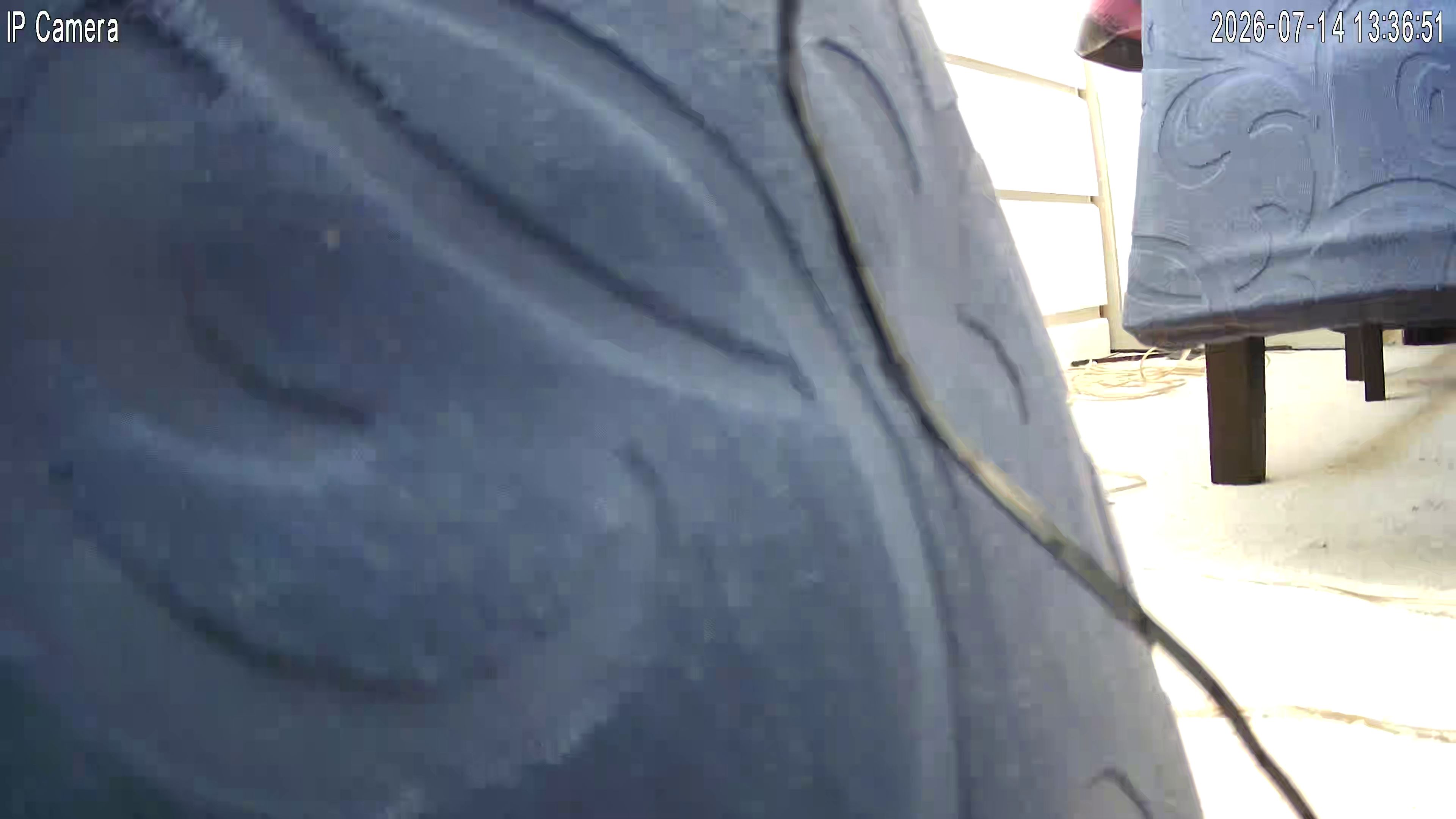 Mystery Cam